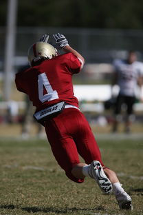 乐鱼体育app官网入口-NBA球队防守战术演变分析，nba球队防守效率排行榜