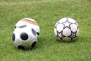 乐鱼体育平台-未来足球市场：数字资产与足球产业的融合，足球概念数字货币