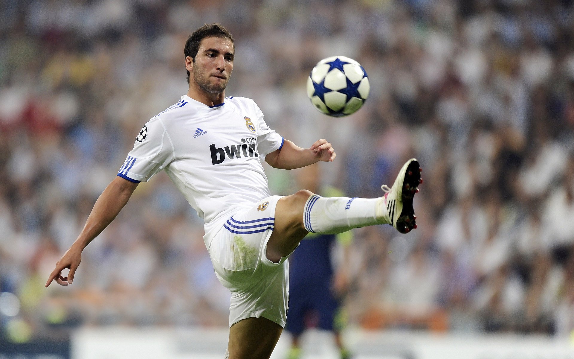 世界杯文化交流与教育意义，世界杯的历史文化